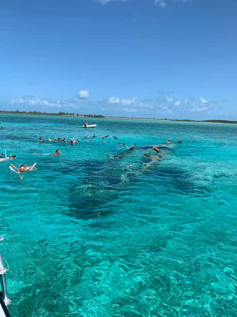 Nassau: Discover Exuma Island Hopping and Swimming Pigs Tour - The final Exuma beach or sandbar stop