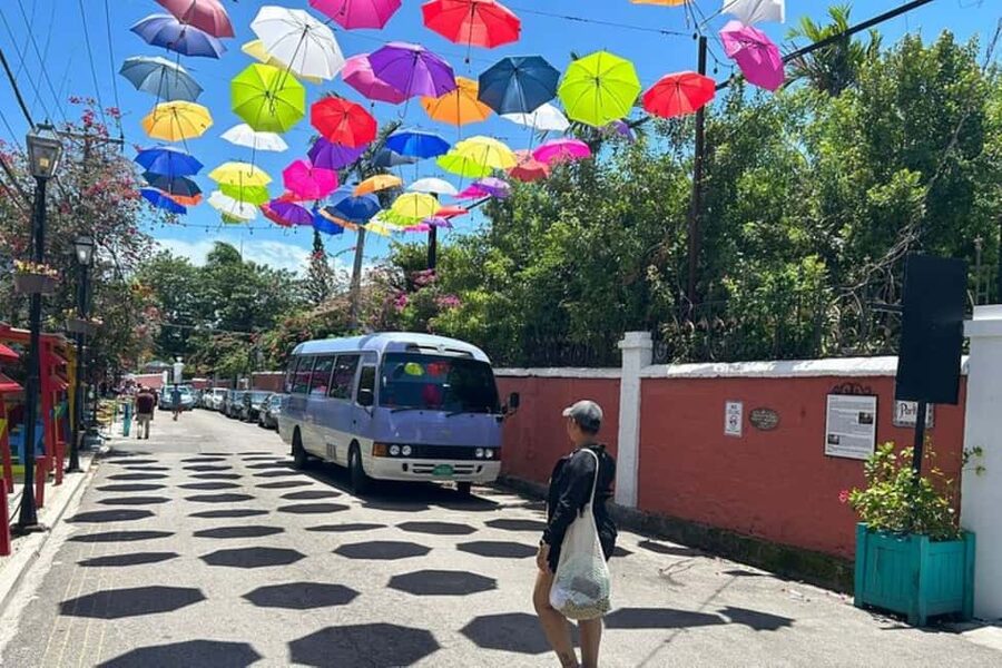Nassau: E-Scooter Tour with Food Tasting and Local Drinks - Fort Fincastle gives you the harbor view