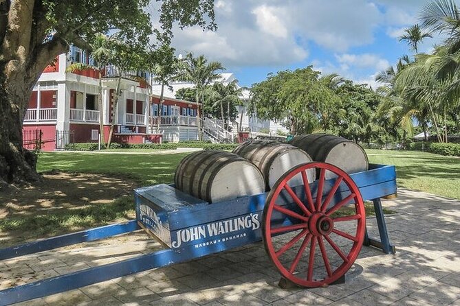 Nassau Family Friendly City Tour - Arawak Cay and the local fish fry