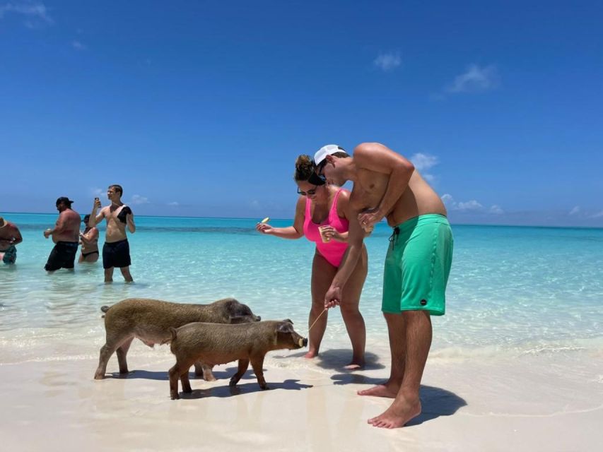 Nassau: Half-Day Guided Cay Cruise, Sea Life Watch & Snorkel - Rose Island: a calm final swim