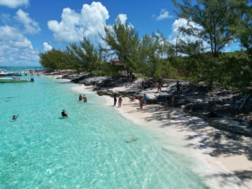 Nassau: Half-Day Guided Cay Cruise, Sea Life Watch & Snorkel - Blue Lagoon Island: scenery, a guided walk, and animal viewing