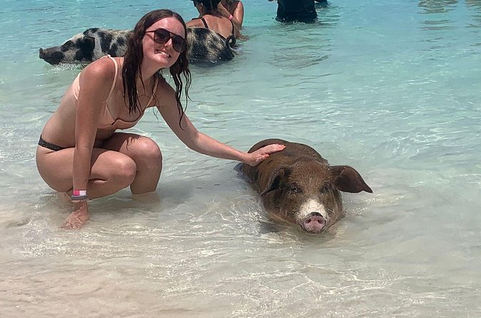 Nassau: Half Day Reef Snorkeling, Turtles & Swimming Pigs - What the 12-person limit changes