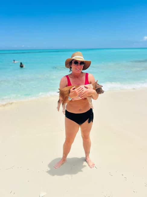 Nassau: Half-Day Swimming Pigs, Reef Snorkel & Beach Club - Who Will Enjoy It Most