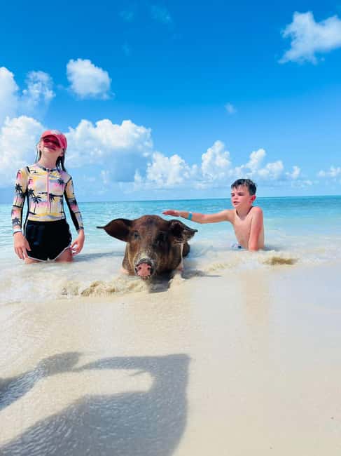 Nassau: Half-Day Swimming Pigs, Reef Snorkel & Beach Club - Why This Four-Hour Format Works