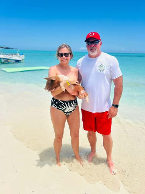 Nassau: Half-Day Swimming Pigs, Reef Snorkel & Beach Club - Rose Island: Pigs, Lunch, and Beach Club Time
