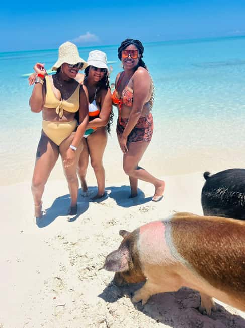 Nassau: Half-Day Swimming Pigs, Reef Snorkel & Beach Club - What $189 Includes, and What It Does Not