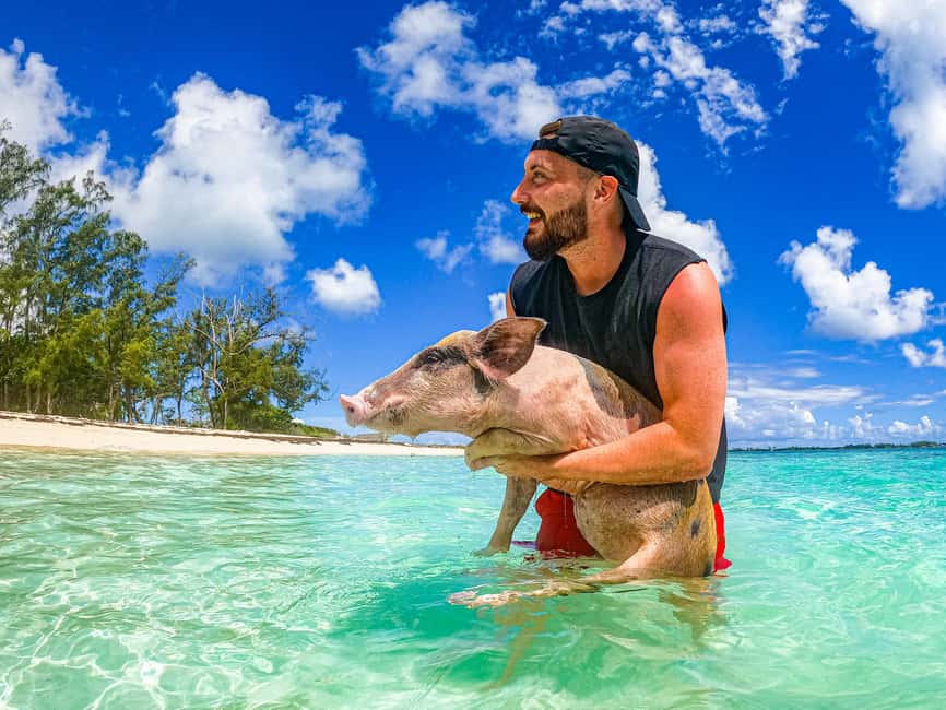 Nassau: Pigs Beach Trip by Boat with Swimming and Feeding - Key points to know before booking