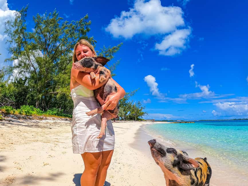 Nassau: Pigs Beach Trip by Boat with Swimming and Feeding - Is $79 a good price?