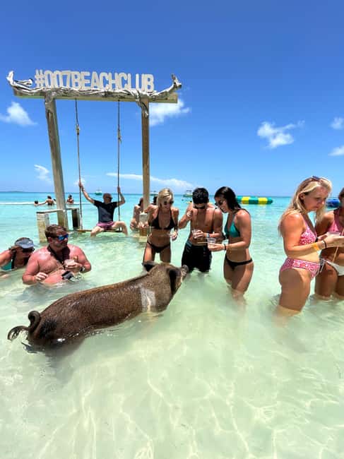 Nassau: Pigs, Snorkel, Turtles, Lunch, Private Beach Club - Green Cay and the search for turtles