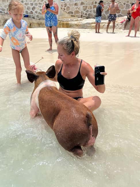 Nassau: Pigs, Snorkel, Turtles, Lunch, Private Beach Club - Reef snorkeling near Rose Island