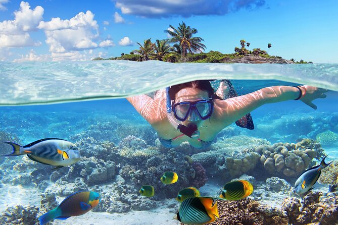 Nassau: Private Island & Snorkeling, Turtles, Drinks & BBQ - Green Turtle Cay and the search for turtles