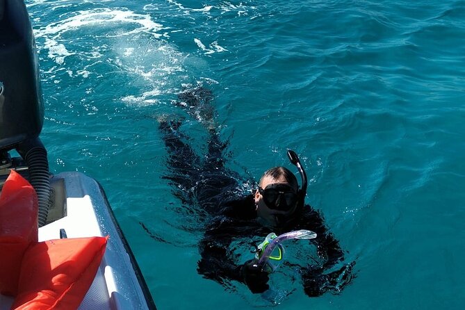 Nassau: Private Island & Snorkeling, Turtles, Drinks & BBQ - Weather, timing, and practical concerns