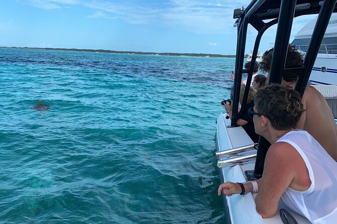 Nassau: Private Island & Snorkeling, Turtles, Drinks, & BBQ - Reef snorkeling near Pearl Island
