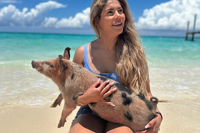 Nassau, Private Swimming Pig, Island Hopping, Snorkeling, Turtles - One boat, several Bahamian islands