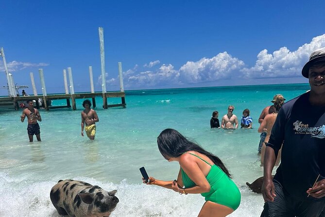 Nassau, Private Swimming Pig, Island Hopping, Snorkeling, Turtles - Rose Island: the most balanced stop