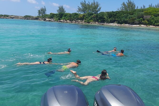 Nassau, Private Swimming Pig, Island Hopping, Snorkeling, Turtles - Captains who shape the day