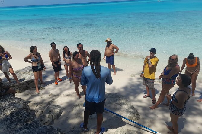 Nassau, Private Swimming Pig, Island Hopping, Snorkeling, Turtles - Is $799 a fair price?