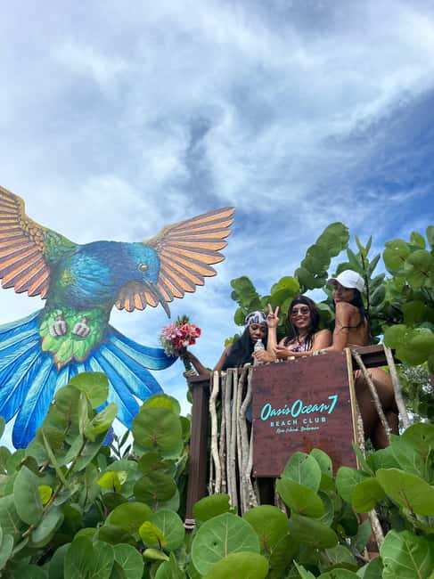 Nassau: Reef Snorkeling, Turtles, Lunch & Private Beach Club - Lunch, Drinks, and the Optional Pig Experience