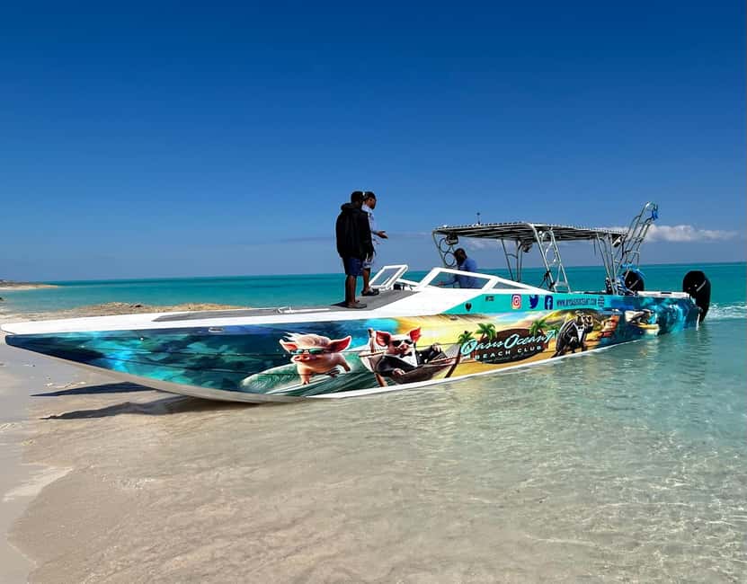 Nassau: Reef Snorkeling, Turtles, Lunch & Private Beach Club - Who Will Enjoy This Excursion Most