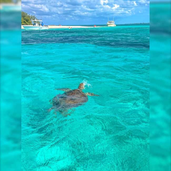 Nassau: Rose 3-Island Tour with Snorkeling and Lunch - Timing, comfort, and who should skip it