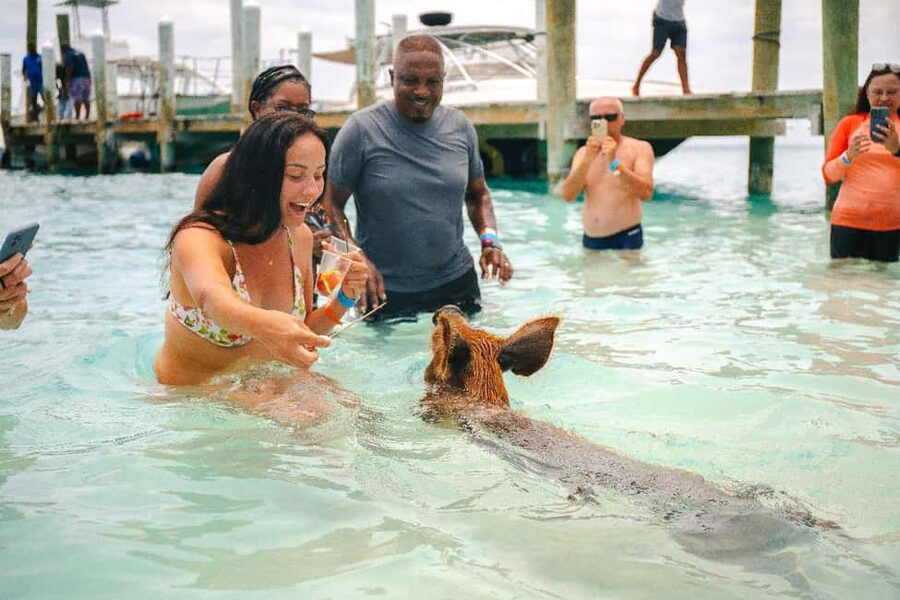 Nassau: Rose Island's Sand Dollar Beach Resort - Key points to know before you book