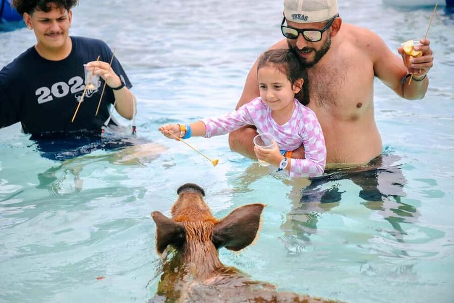 Nassau: Rose Island Swimming Pigs and Beach Day Group Tour - What this Nassau pig tour actually delivers