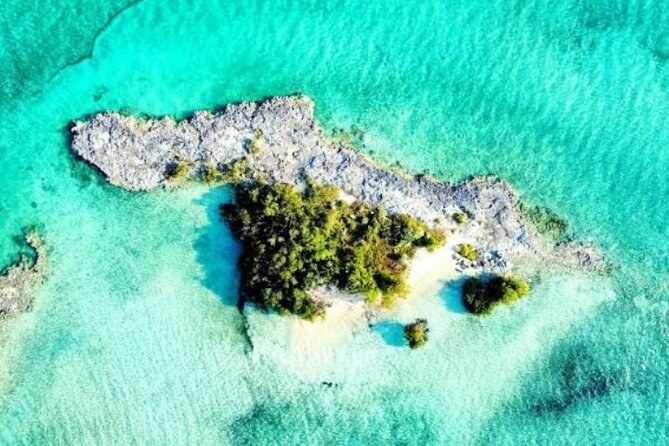 Nassau's Exclusive Kayaking Snorkeling Beach Adventure (6 Max) - Snorkeling over reef and marine life