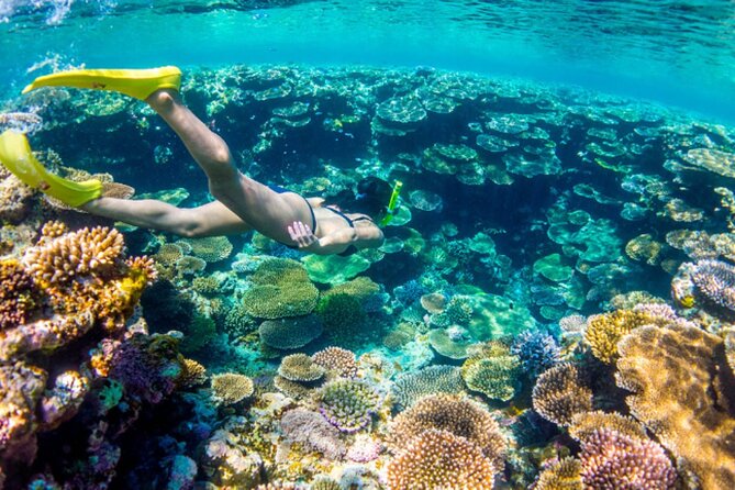Nassau Sail & Snorkel Adventure with 1 Hour Open Bar - Athol Island and the One-Hour Reef Stop