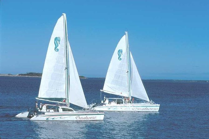 Nassau Sail & Snorkel Adventure with 1 Hour Open Bar - Who Will Enjoy This Nassau Snorkel Trip?