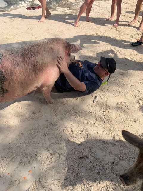 Nassau: Self-Drive Speedboat Ride and Pig Swimming Encounter - Small details that make the day easier
