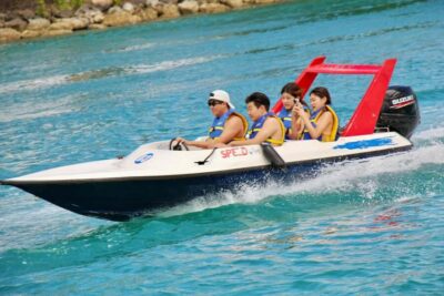 Self-Drive Speedboat Ride and Pig Swimming Encounter