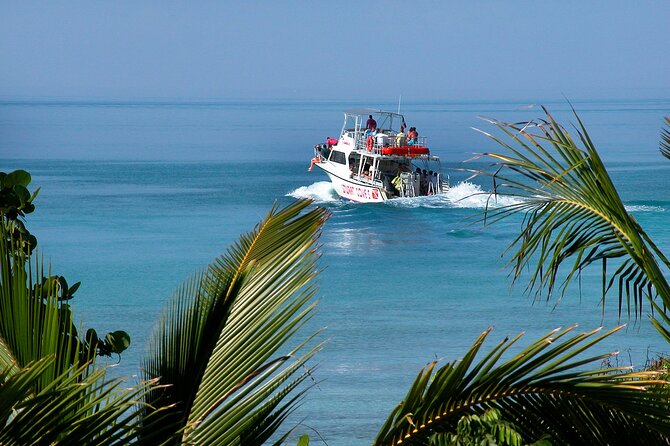 Nassau Shore Excursion: Bahamas Snorkel Adventure - The crew is the tour’s strongest asset
