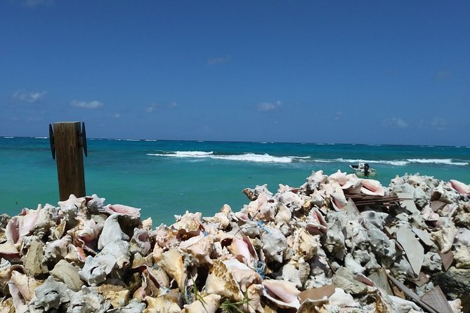 Nassau Shore Excursion: Sightseeing and Snorkeling Tour - Shopping at the mini straw market