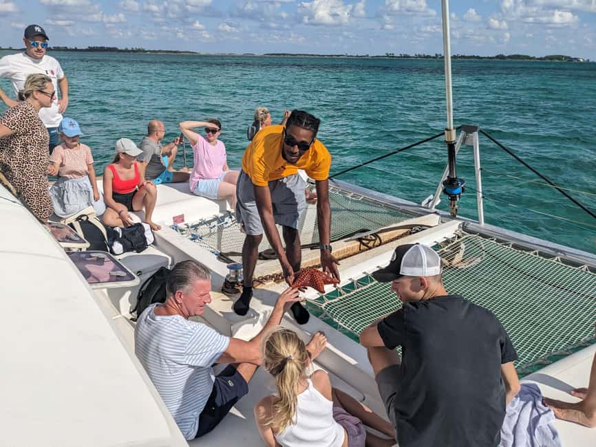 Nassau: Snorkeling, Pig Beach, Swim with Turtles, and Lunch - The first ride out to Athol Island