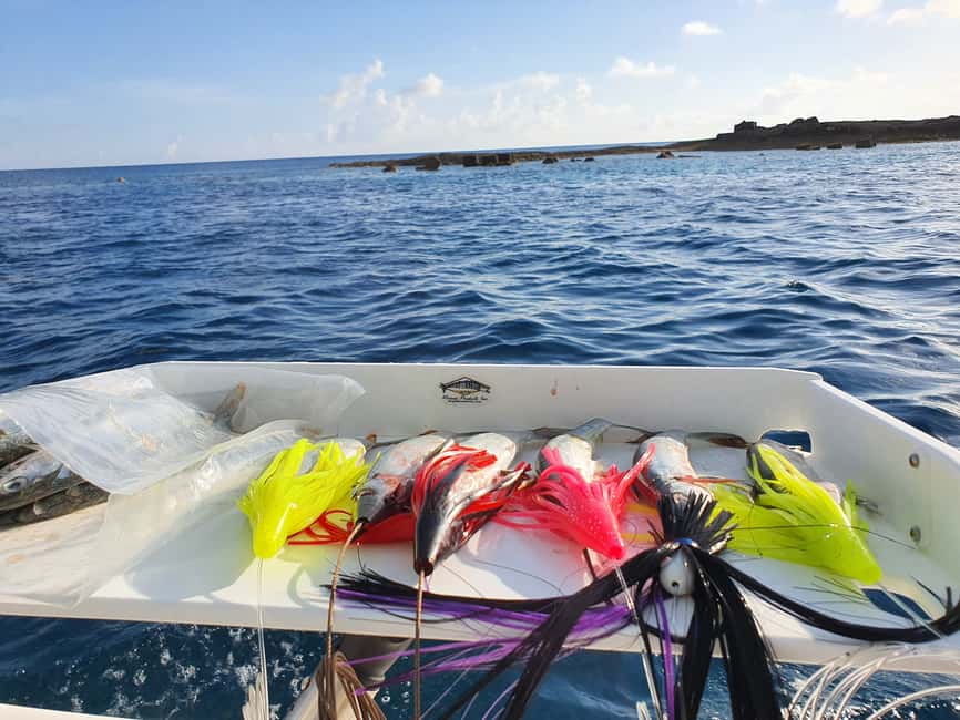Nassau: Sport-fishing private charter . - Setting out from Paradise Island