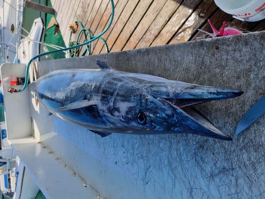Nassau: Sport-fishing private charter . - Is $1,000 a good value?