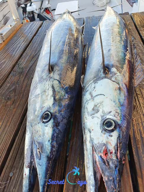 Nassau: Sport-fishing private charter . - Who should book this charter?