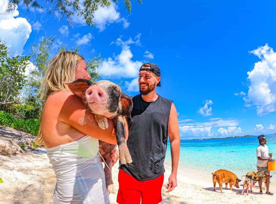 Nassau: Sun Cay and Swimming Pigs Boat Trip with Lunch - FAQ