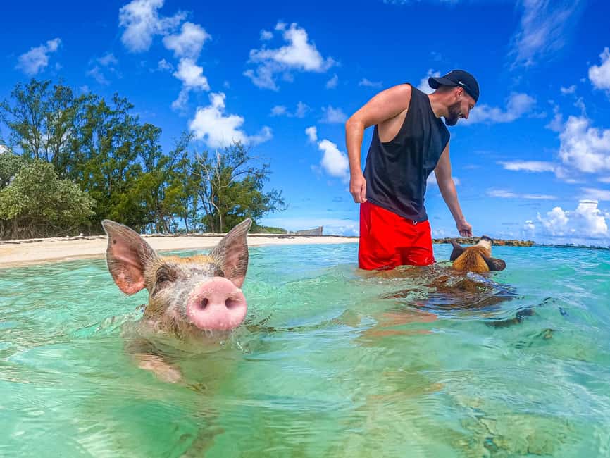 Nassau: Sun Cay and Swimming Pigs Boat Trip with Lunch - Sun Cay gives you room to slow down
