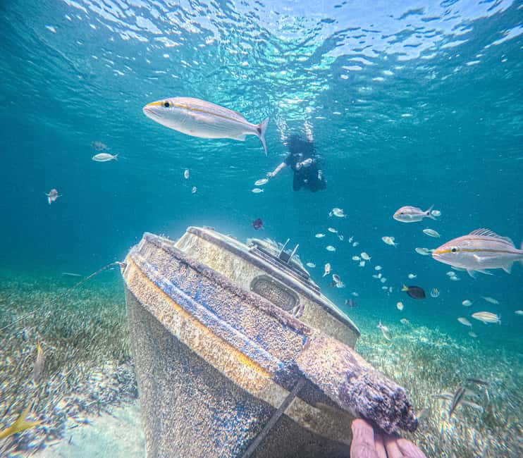 Nassau: Sun Cay Day Trip, Snorkel, Iguana Encounter, & Lunch - Snorkeling over a sailboat and airplane