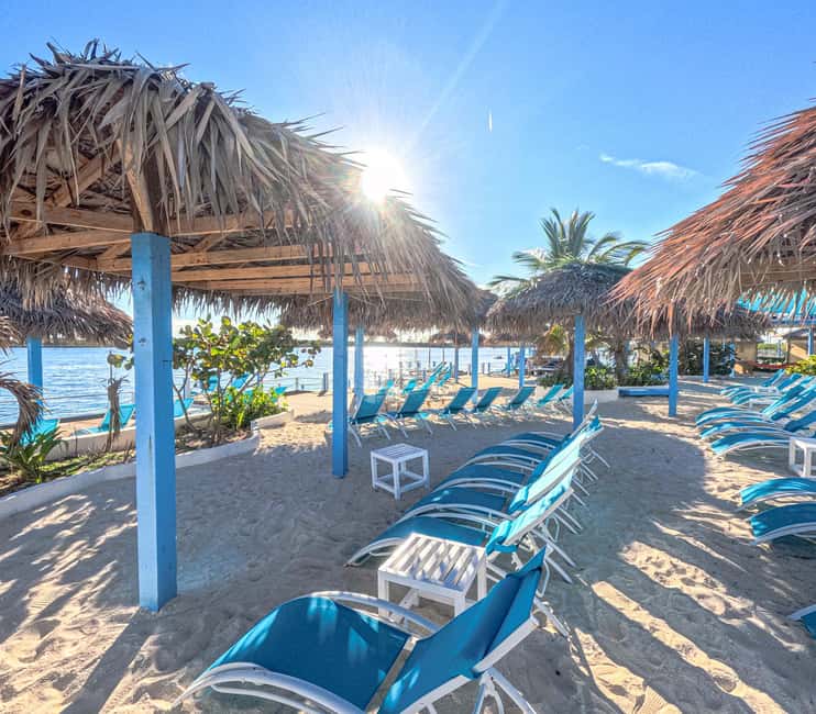 Nassau: Sun Cay Day Trip, Snorkel, Iguana Encounter, & Lunch - Beach chairs, pools, bars, and free time