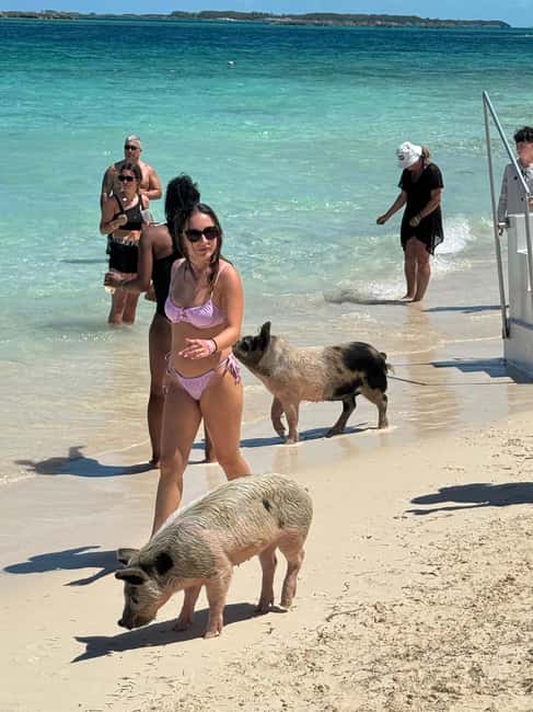 Nassau: Swimming Pigs and Turtles Boat Tour with Snorkeling - Pearl Island snorkeling in clear water