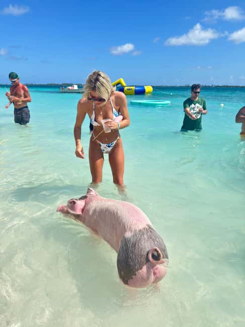 Nassau: Swimming Pigs and Turtles Boat Tour with Snorkeling - Green Cay and the chance to see sea turtles