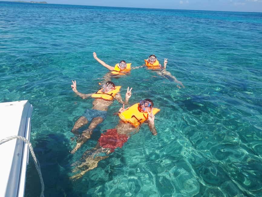 Nassau: Swimming Pigs Private Boat Tour - Up to 7 Persons - Should you book the Green Cay boat trip?