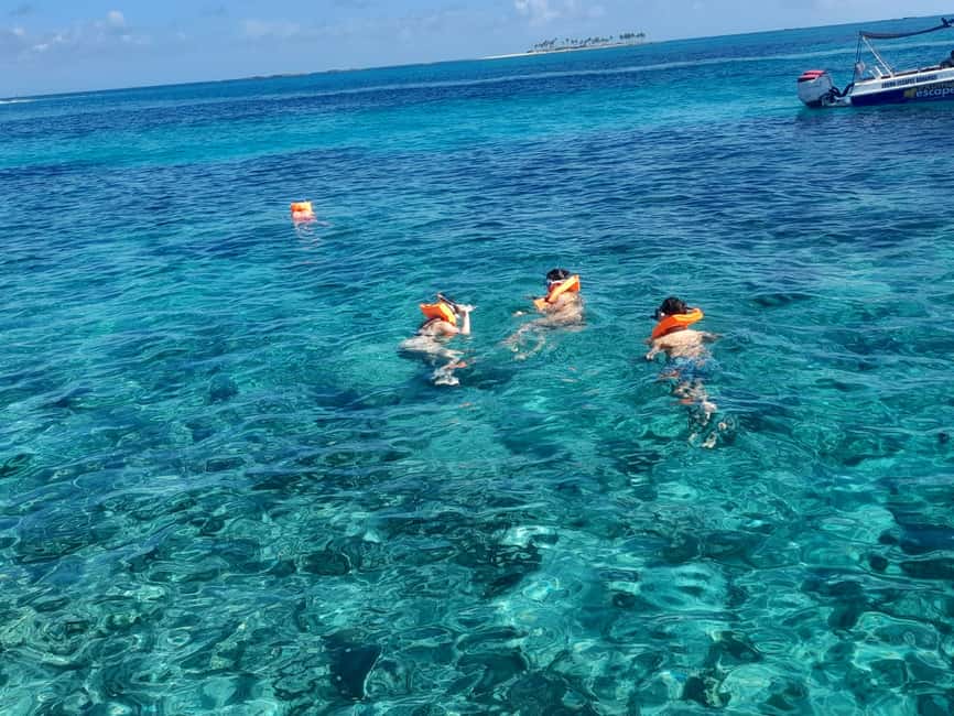 Nassau: Swimming Pigs Private Boat Tour - Up to 7 Persons - Pig Beach without the biggest crowds
