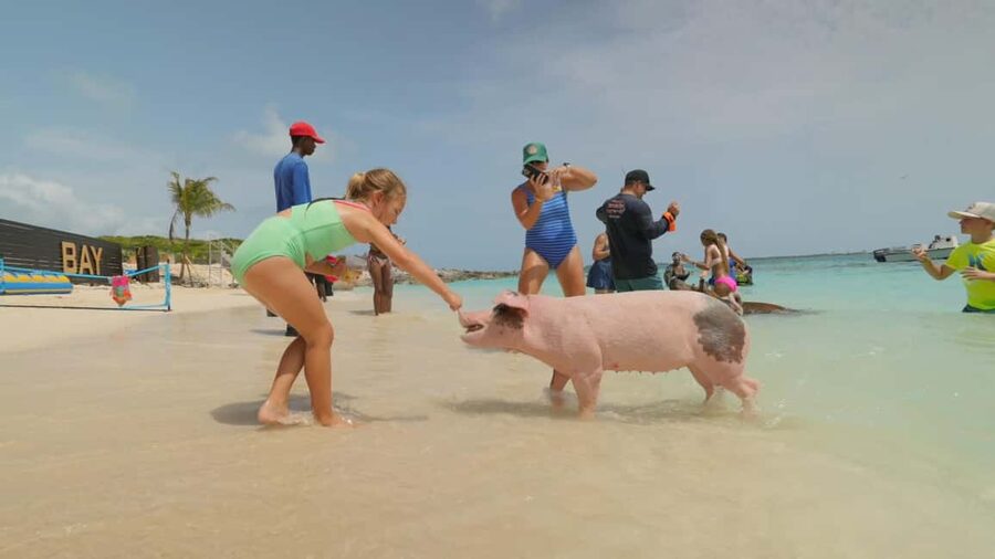 Nassau: Swimming Pigs, Snorkeling, Lunch, & Beach Boat Tour - The Ride Home Through Nassau’s Island Chain