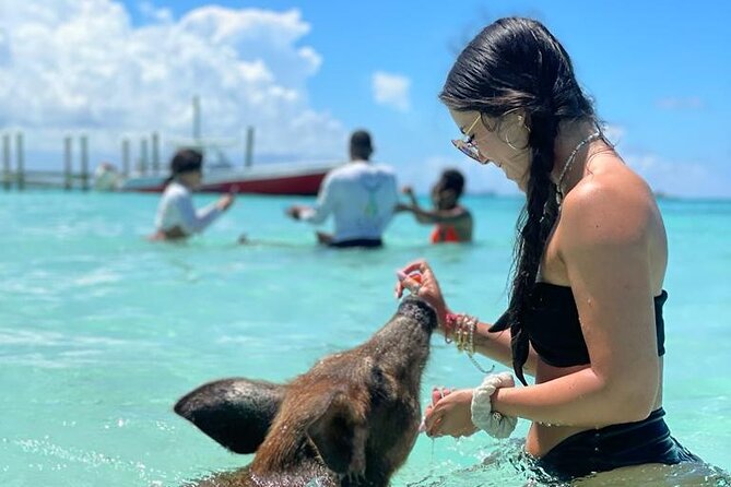 Nassau Swimming Pigs: Snorkeling, Lunch & Private Beach Club - Timing, comfort, and the small drawbacks