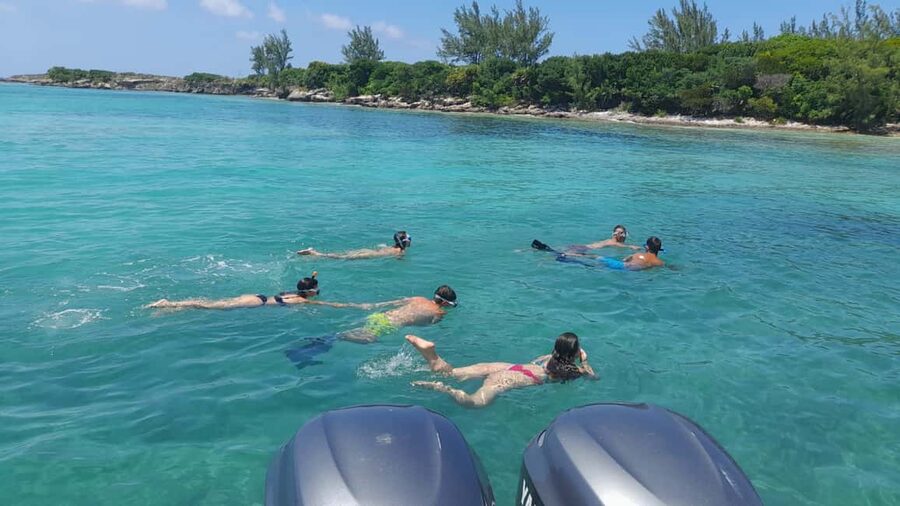 Nassau: Swimming with Pigs, Snorkeling, and Sightseeing Tour - Booking details worth knowing