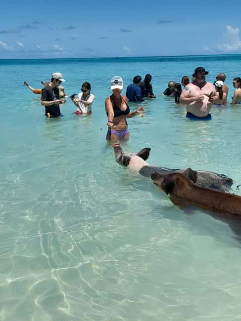 Nassau: Swimming with Pigs, Snorkeling, and Sightseeing Tour - Leaving Bayshore Marina for the open water