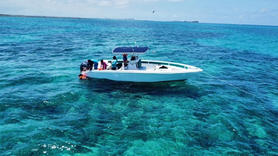 Nassau: Swimming with Pigs, Snorkeling, and Sightseeing Tour - Pearl Island and beaches reached by boat
